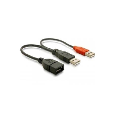 DeLOCK - USB cable - USB, USB (power only) (M) to USB (F) - USB 2.0 - 23 cm - 0