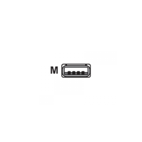 Cable, USB, Type A, Coiled, 9', CAB-424E
