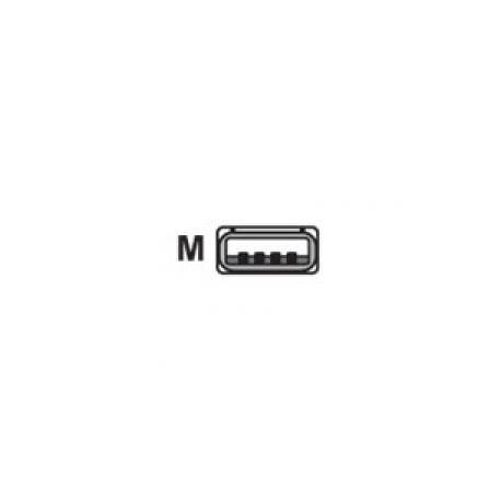 Cable, USB, Type A, Coiled, 9', CAB-424E