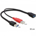 DeLOCK - USB cable - USB Type A (F) to USB (power only), USB Type A (M) - USB 3.0 - 30 cm