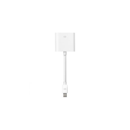 Apple Mini DisplayPort to DVI Adapter B