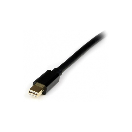 Startech .com Mini DisplayPort to DisplayPort Adapter Cable - M/M - DisplayPort cable - mini-DisplayPort (M) - DisplayPort (M) -