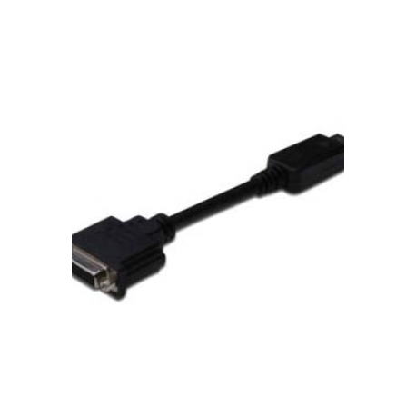 ASSMANN - DisplayPort adapter - DisplayPort (M) to DVI-D (F) - 15 cm - molded - black - 0
