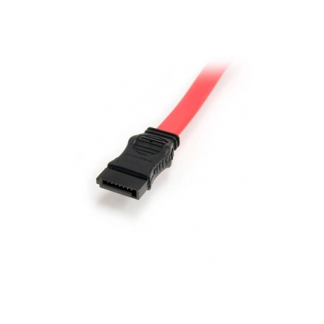 StarTech.com 20in Slimline SATA to SATA with LP4 Power Cable Adapter - slim SATA Adapter - slimline Adapter - slim SATA to SATA (SLSATAF20) - SATA cable - Serial ATA 150 / 300 / 600 - Slimline SATA (F) to SATA, 4 pin internal power (12V) - 50.8 cm - red - 4
