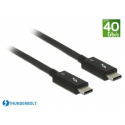 DeLOCK - Thunderbolt cable - USB-C (M) to USB-C (M) - USB 3.1 Gen 2  /  Thunderbolt 3  /  DisplayPort 1.2a - 20 V - 5 A - 50 cm - 4K support - black